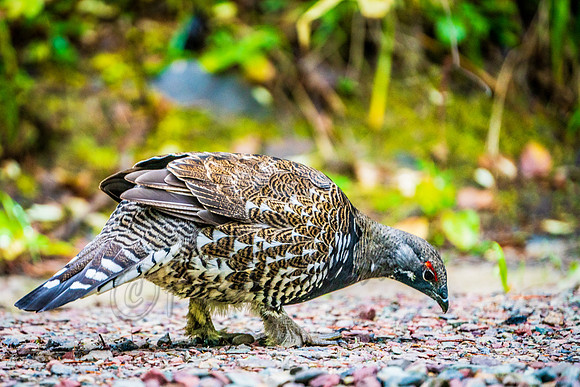 20190923-DSC02364