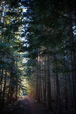 Washington- 20150221-IMG_8631