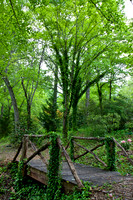 20130508-IMG_9684