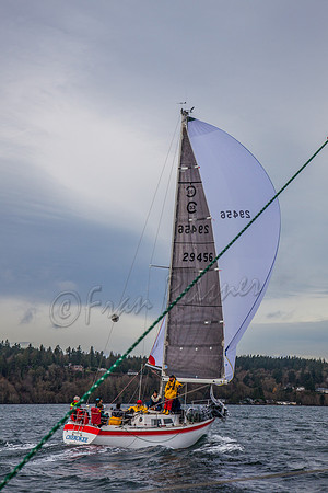 20161203-IMG_4169