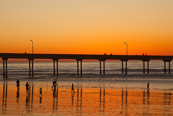 20111225-IMG_3321