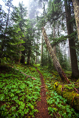 Washington- 20150725-IMG_0448