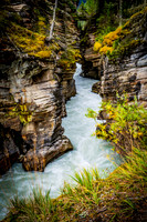 20190908-DSC00708