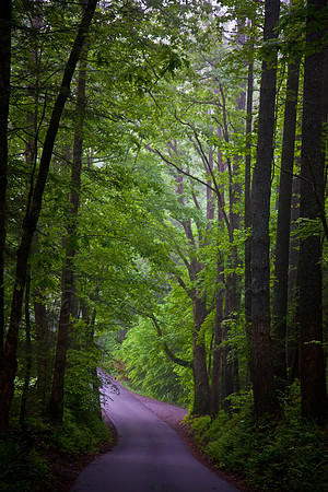 20130520-IMG_0518