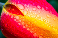 20190412-DSC02990