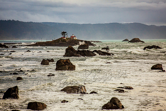 20111118-IMG_1759