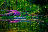 20130423-IMG_9072