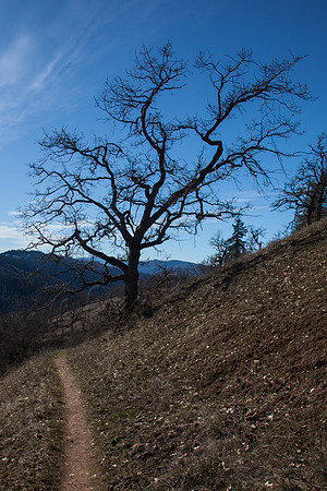 Washington- 20150222-IMG_8669