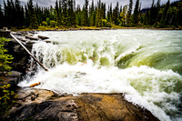 20190908-DSC00691