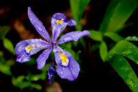 20130503-IMG_9376