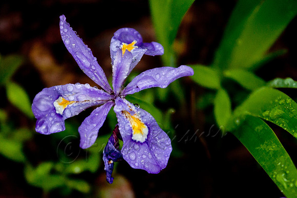 20130503-IMG_9376