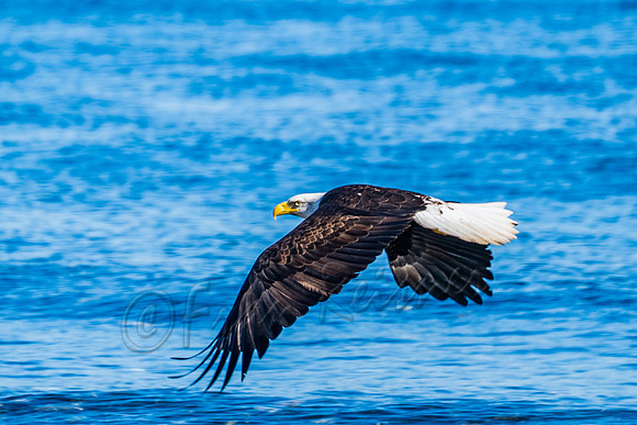20190328-DSC08067