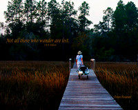Wander