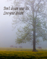 Live your dream