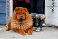 Vail-Breckenridge area