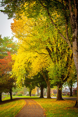 20111020-IMG_0712