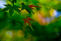 20130423-IMG_9082