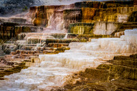 20190927-DSC03094