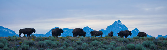 Grand Tetons- 20130723-IMG_3376