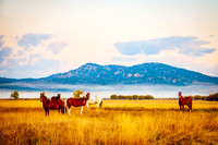 20111003-IMG_9970