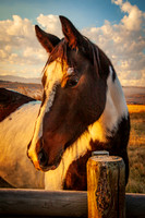 20111003-IMG_0031
