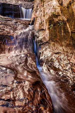 Zion National Park- 20131106-IMG_6978