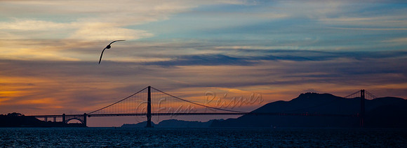 20111126-IMG_2320-2