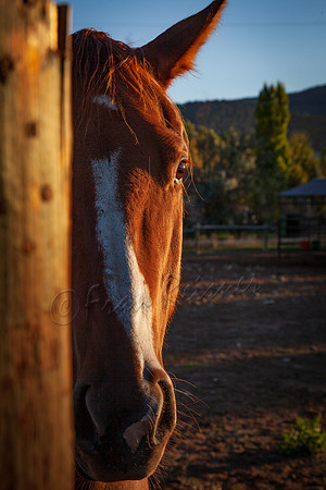 20110927-IMG_9582