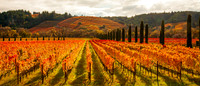20111120-IMG_1934