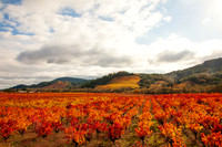 20111120-IMG_1929