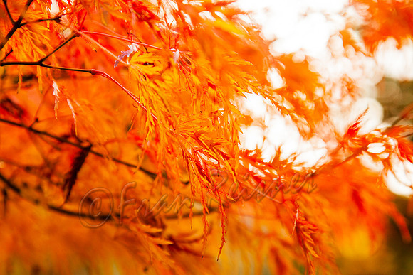 20111120-IMG_1948