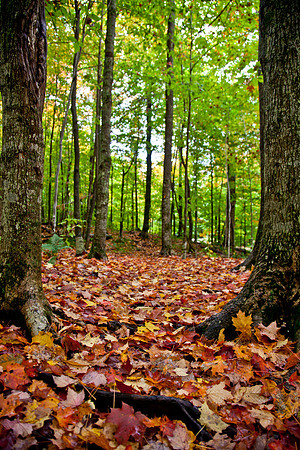 20121001-IMG_2514