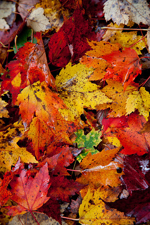 20121001-IMG_2517