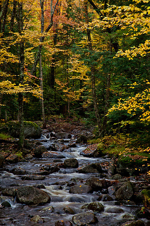 20121002-IMG_2644