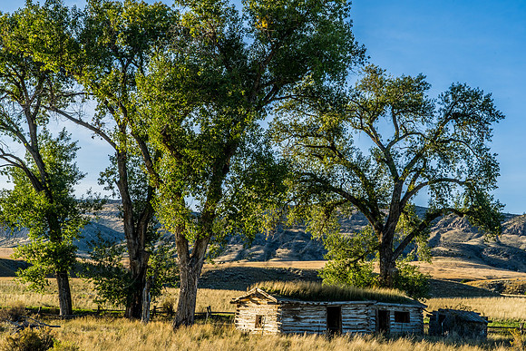 20190925-DSC01942