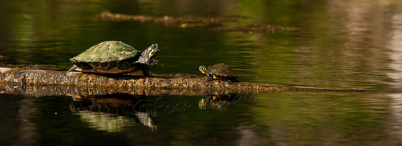 20120419-IMG_0391