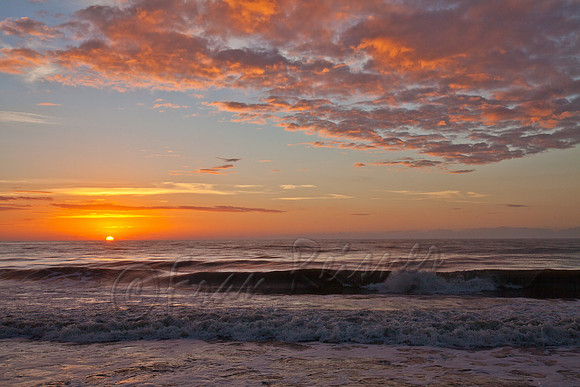 Edisto Beach, SC - 20121202-IMG_4614