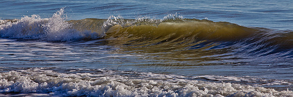 Edisto Beach, SC - 20121205-IMG_5052