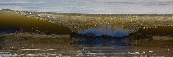 Edisto Beach, SC - 20121205-IMG_5063