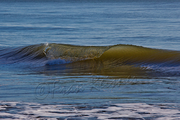 Edisto Beach, SC - 20121205-IMG_5051