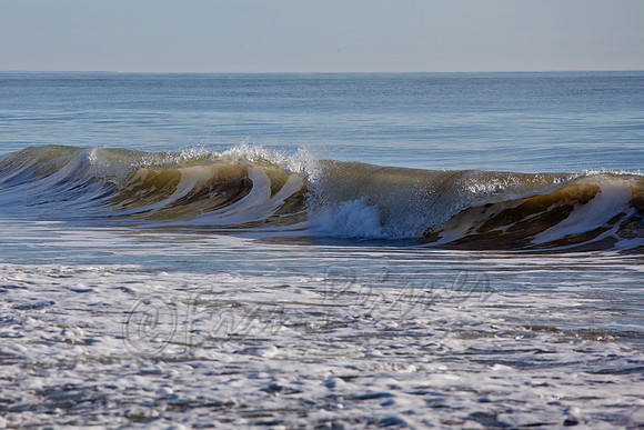Edisto Beach, SC - 20121205-IMG_5058