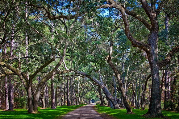 Edisto Beach, SC - 20121203-IMG_4808