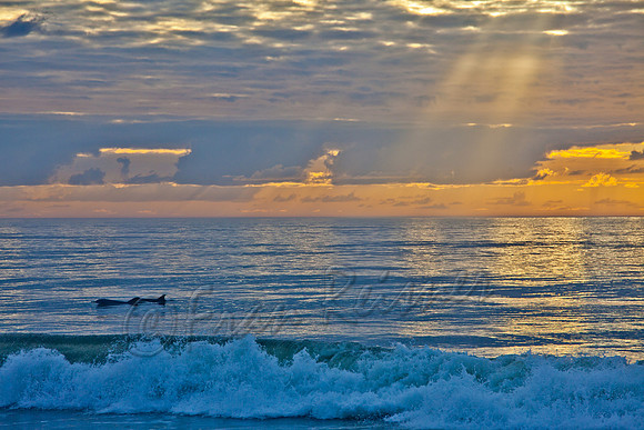 Edisto Beach, SC -  20121204-IMG_4948