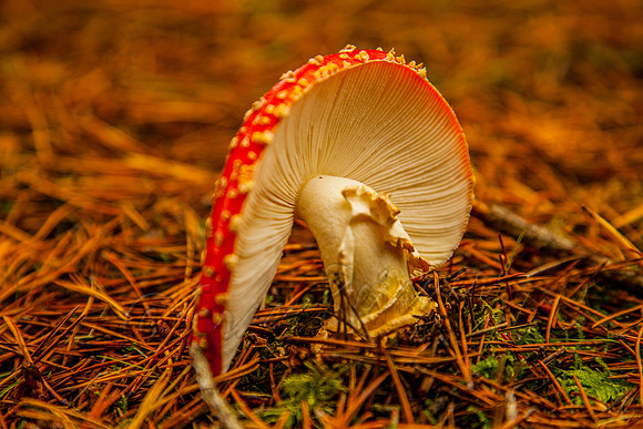 20111117-IMG_1617