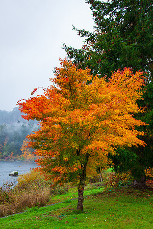 20111116-IMG_1484