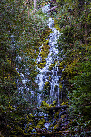 20131019-IMG_5624