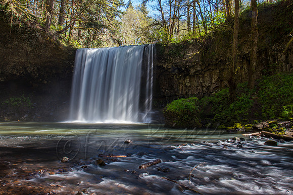 Beaver Creek Falls, Oregon- 20150416-IMG_9057