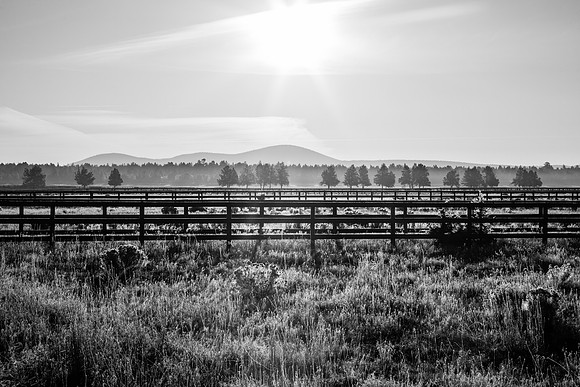 20131019-IMG_5527