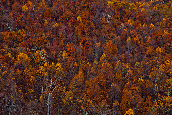 20121027-IMG_4123