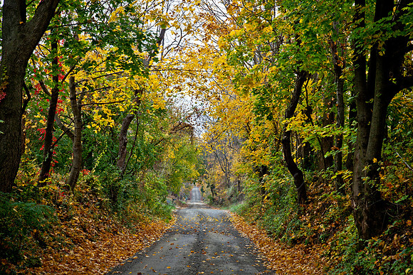 20121026-IMG_4002